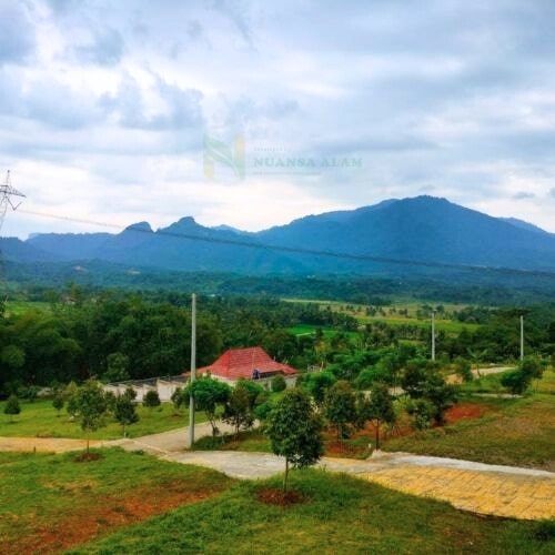 Nuansa Alam Transyogi