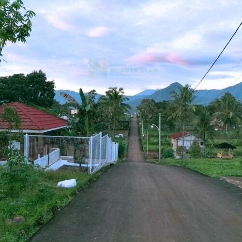 Nuans aAlam Transyogi 2