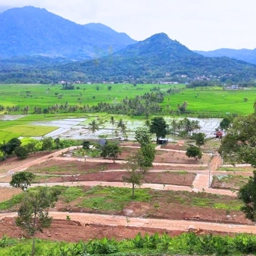 Nuansa Alam Golden View